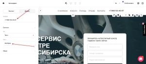 прописываем номер телефона и изменяем логотип